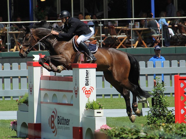 欧冠改制新细节公开，多队担心赛程负担