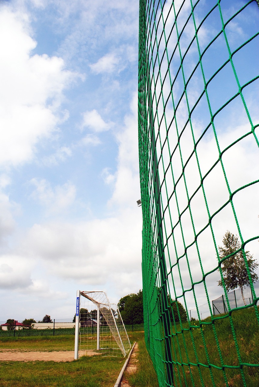 逐步培养核 逐步培养核