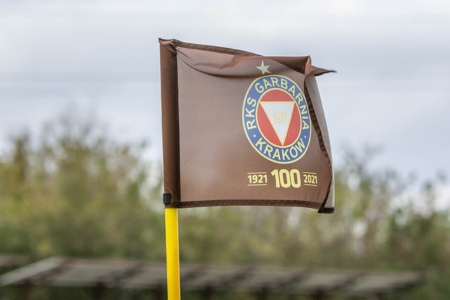 力和进球嗅 力和进球嗅