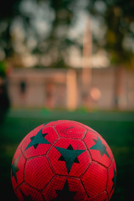 的技术赢得 的技术赢得