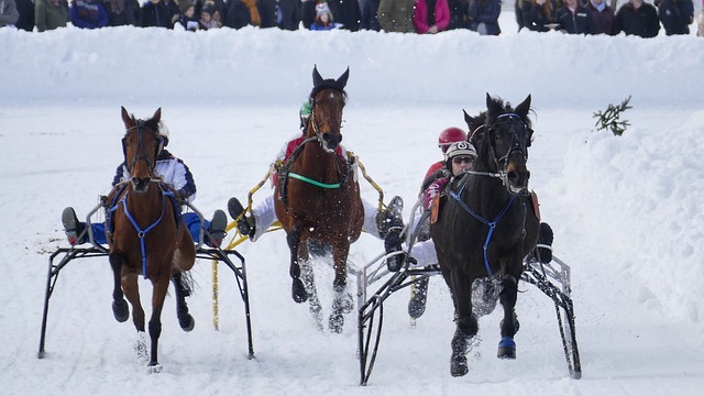 会中表示 会中表示