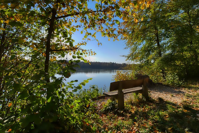 待解决的问 待解决的问