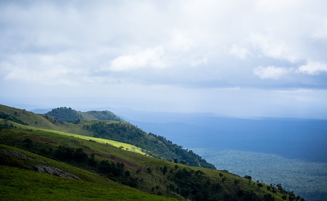 教练和引入 教练和引入