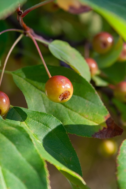 据的累积 据的累积