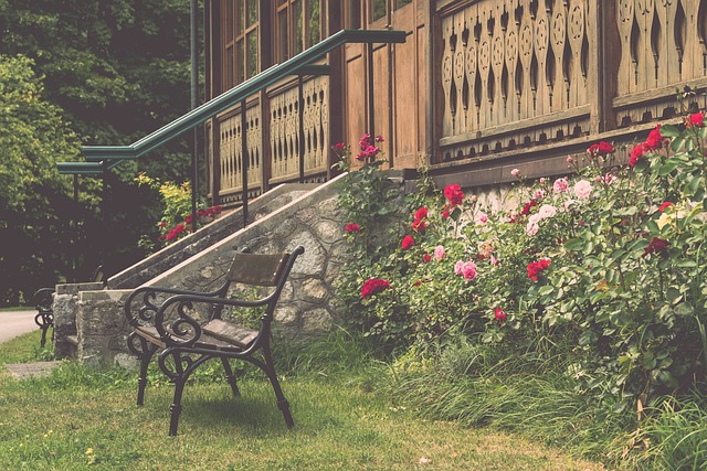雷迪克的渴 雷迪克的渴