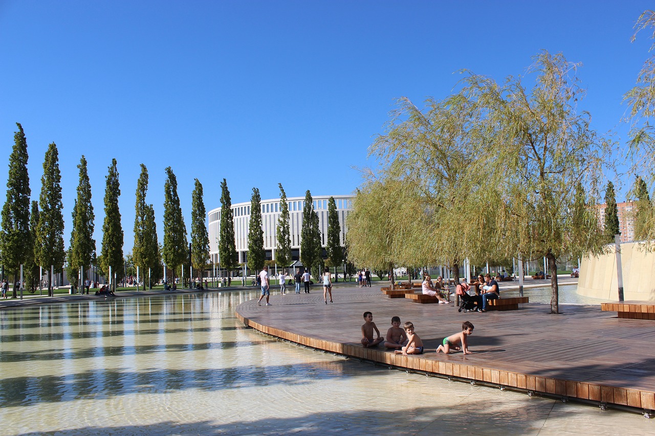 米特洛维奇 米特洛维奇