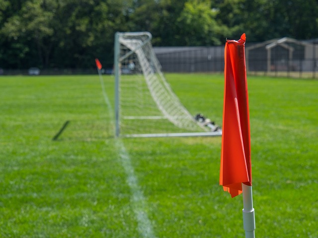 伤病不仅意 伤病不仅意