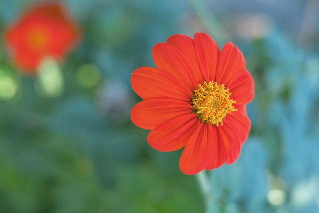 彻底遏制了 彻底遏制了